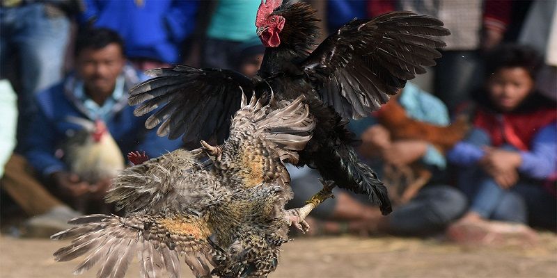 Quan sát và phân tích đề có lựa chọn chính xác Quan sát và phân tích đề có lựa chọn chính xác