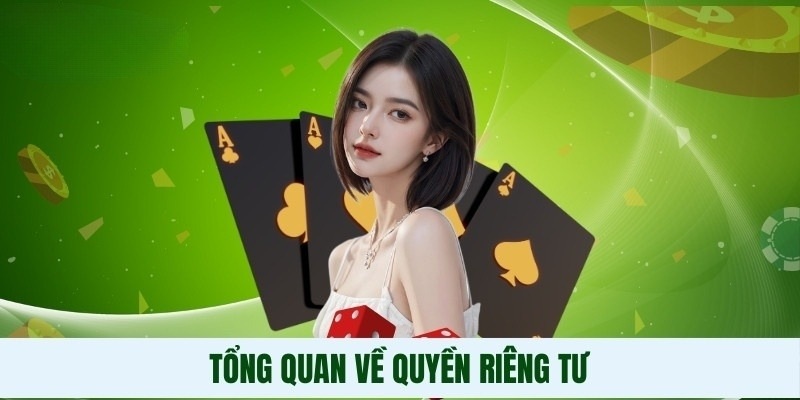 Quy định cụ thể được đề cập đến trong nội dung của chính sách